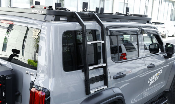 Танк 300 500 SUV аксессуары 4x4 внедорожный боковой лестницы крыши боковой лестницы на 2020- год